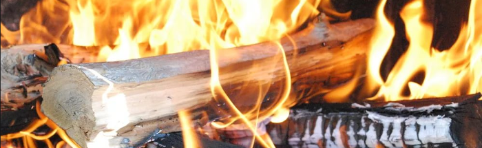 Какие дрова лучше использовать для приготовления шашлыка?